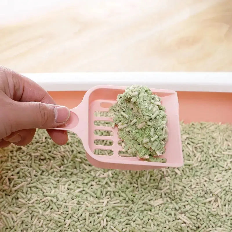 Blue plastic cat litter scoop on a white background showing its 20cm length.