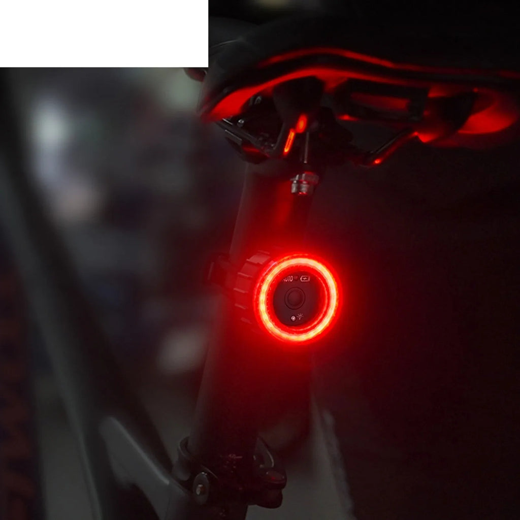 Black intelligent induction bicycle brake taillight with cushion and seat tube mounting brackets