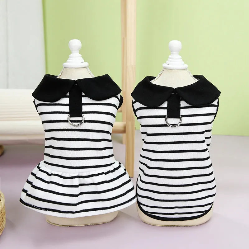 Pet dog wearing a striped cotton t-shirt with love print and a matching skirt.