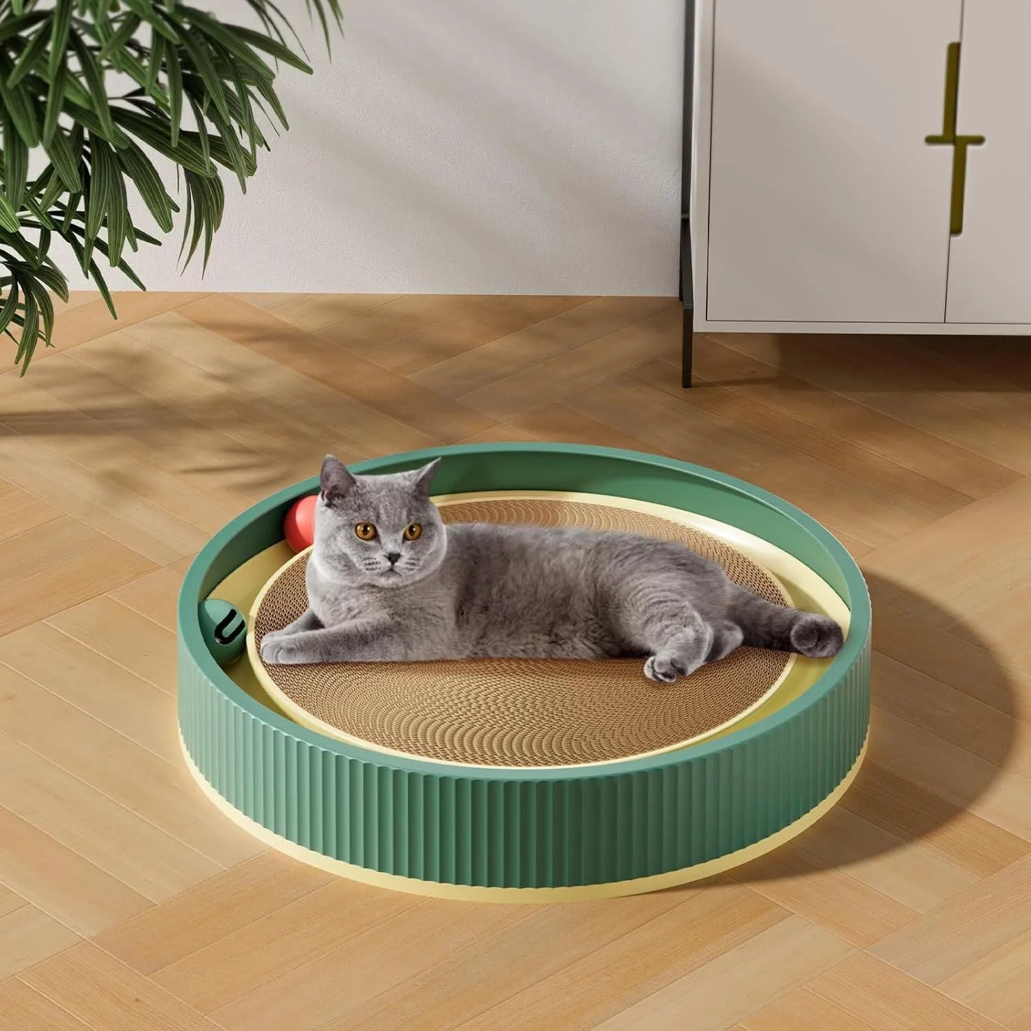 Large circular cat scratching board with ball toys showing green colour and refillable core design