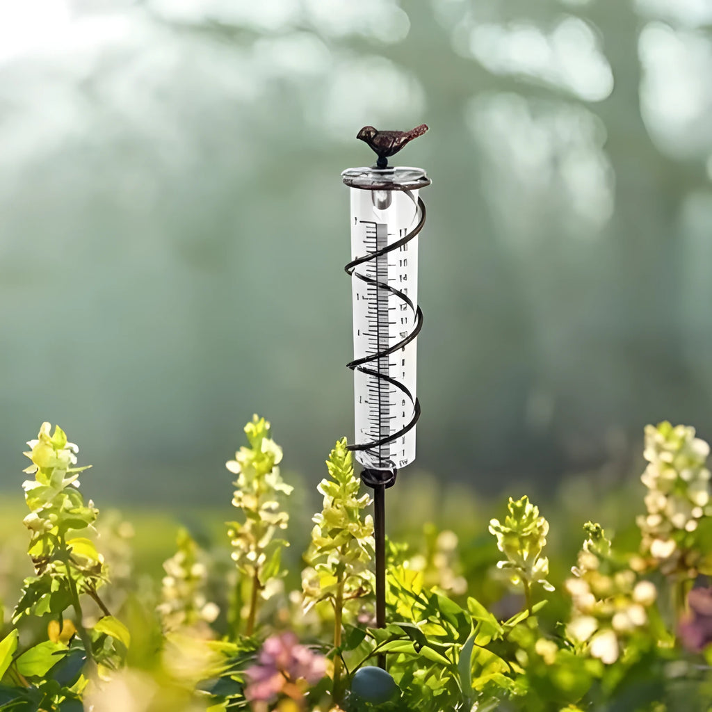 Cast iron and glass outdoor rain gauge with hummingbird design showing 0-800ml capacity