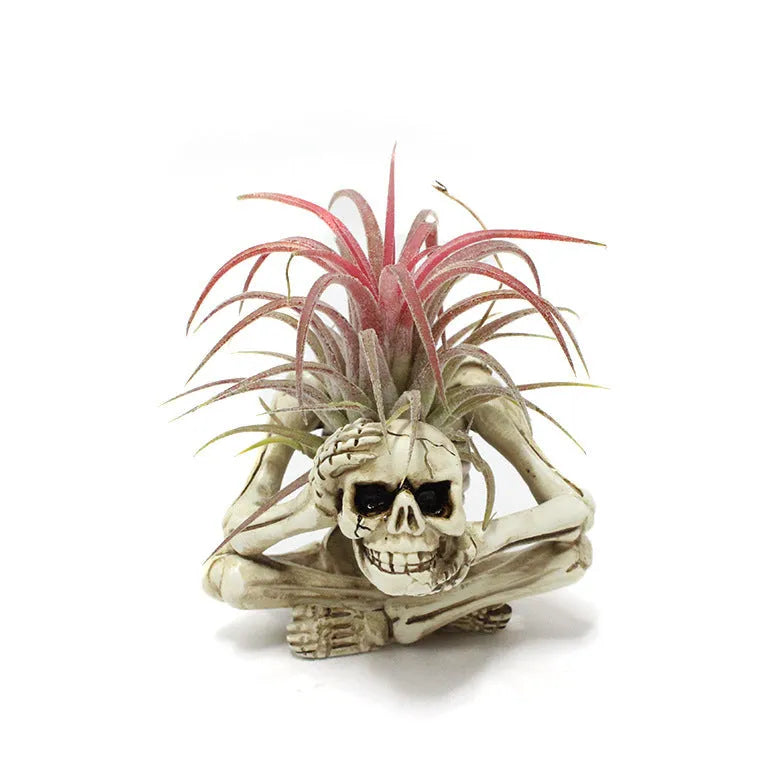 Resin gothic skull planter bracket for tillandsia air plants with three components