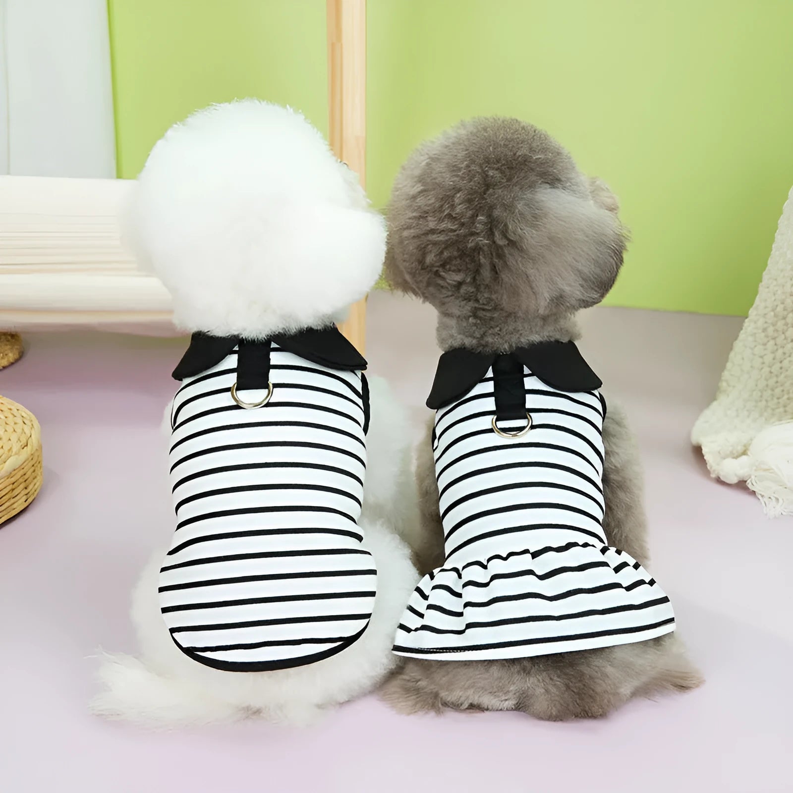 Pet dog wearing a striped cotton t-shirt with love print and a matching skirt.