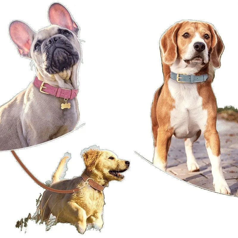 Double-layer mohair leather dog collar and matching lead in rose red, brown, or blue.