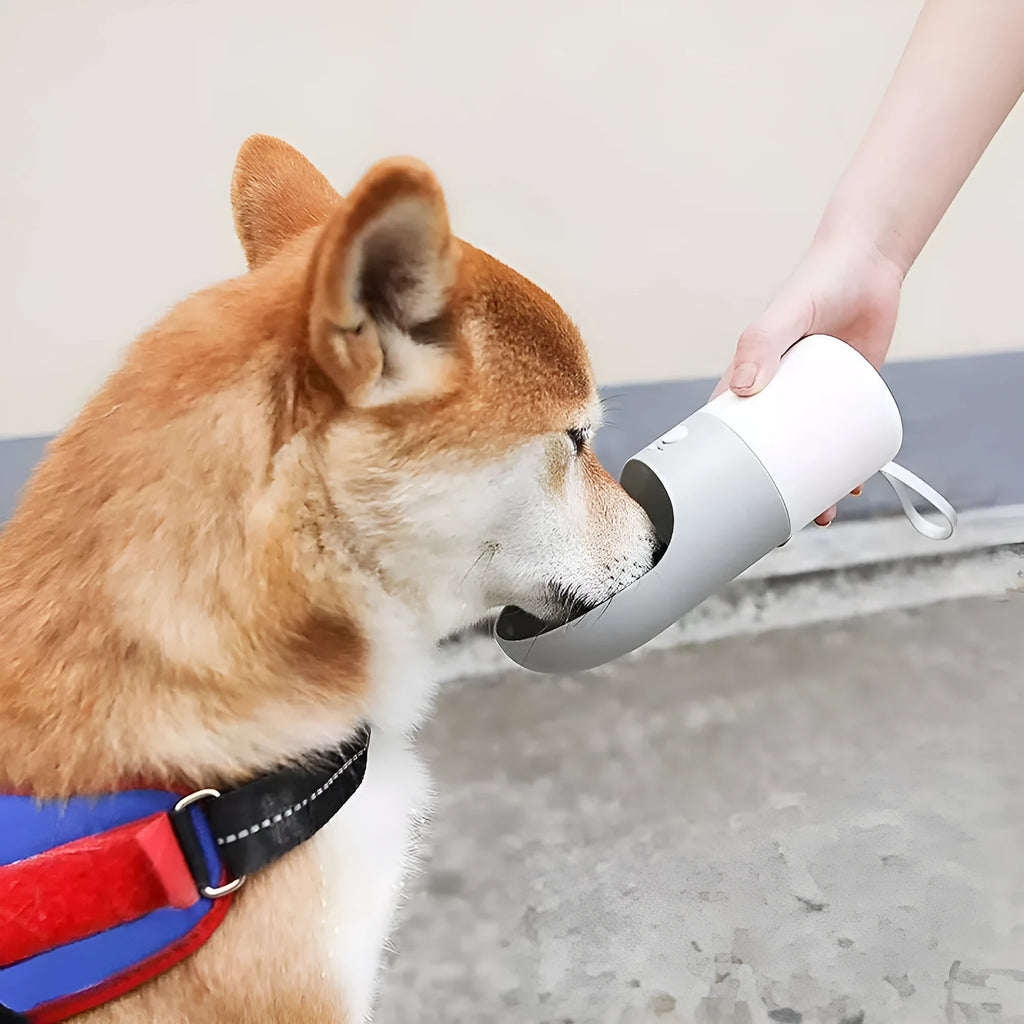 Moestar Rocket Pet Cup 270ml splash-proof portable dog drinking cup in white gray colour