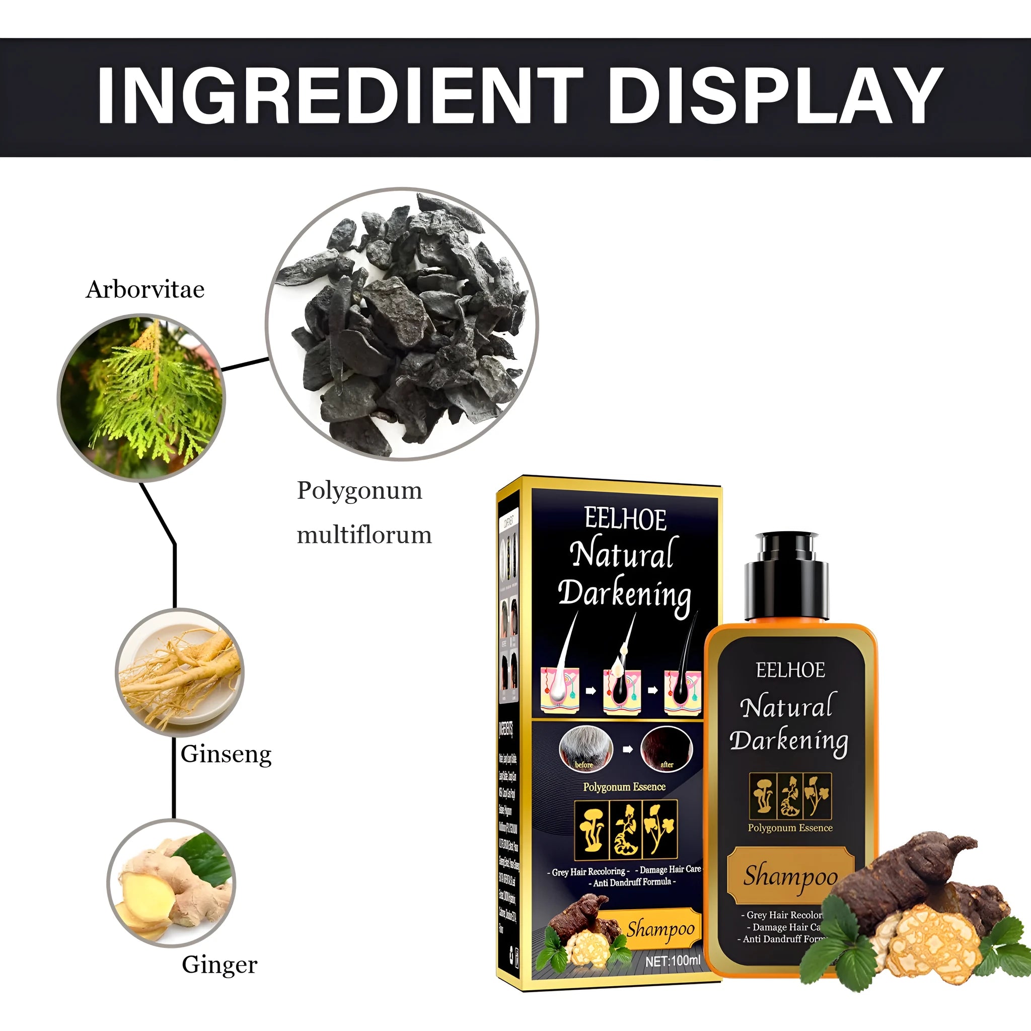 Polygonum Multiflorum Shampoo 100ml boxed for white to black hair restoration
