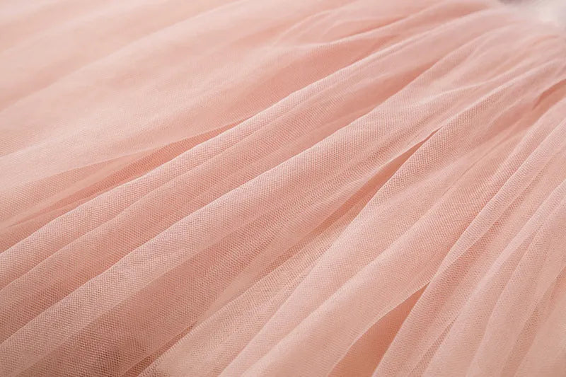 Baby girl wearing long sleeve lace tutu dress in pink for birthday party
