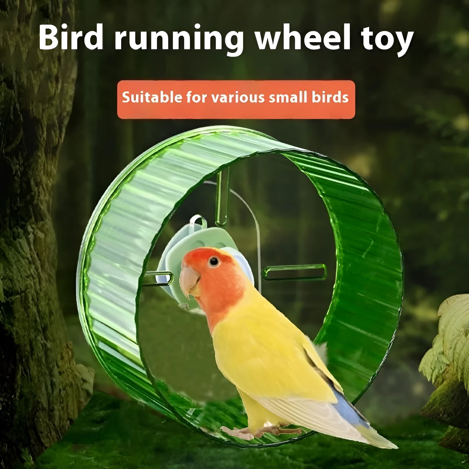 Plastic bird running wheel exercise toy for parrots in multiple colours and sizes