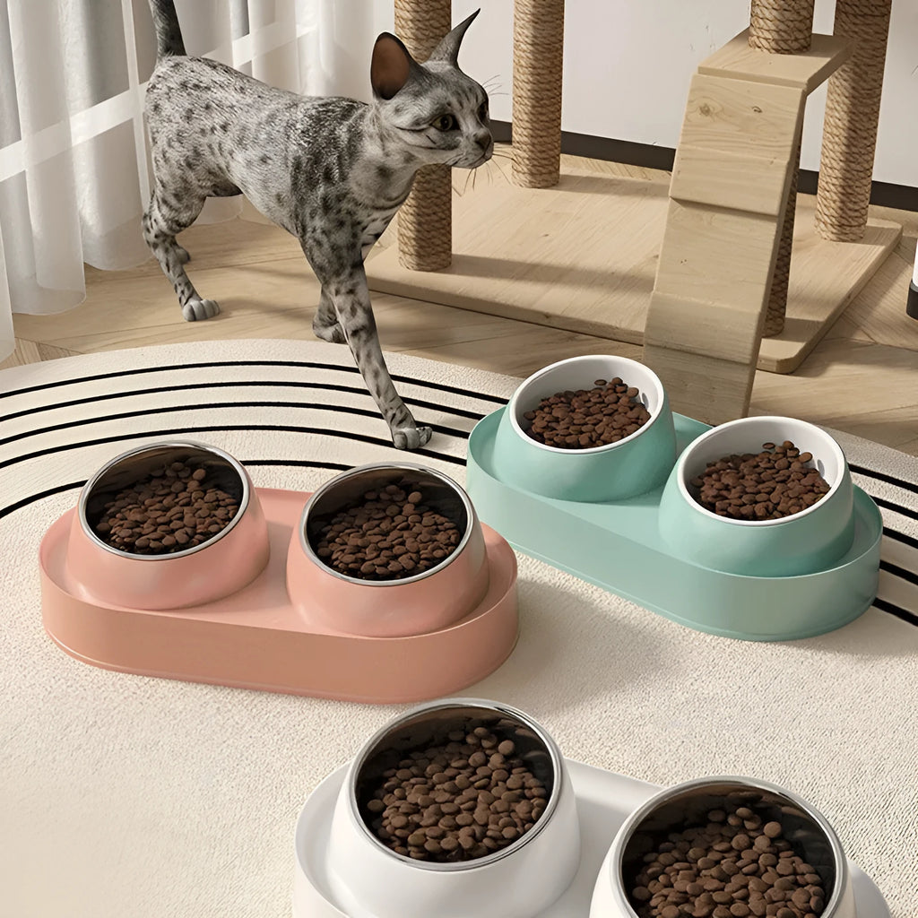 Pet double bowl feeder with 10° tilt, 12cm height, white base, and ceramic bowls on non-slip silicone pad