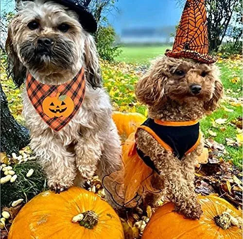 Orange plaid Halloween dog bandana with white skeleton and orange pumpkin felt appliques