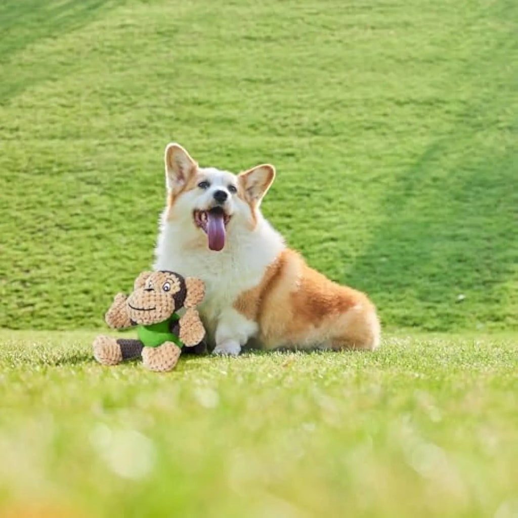 Cute squeaky monkey plush dog toy with soft fabric, designed for small and medium dogs