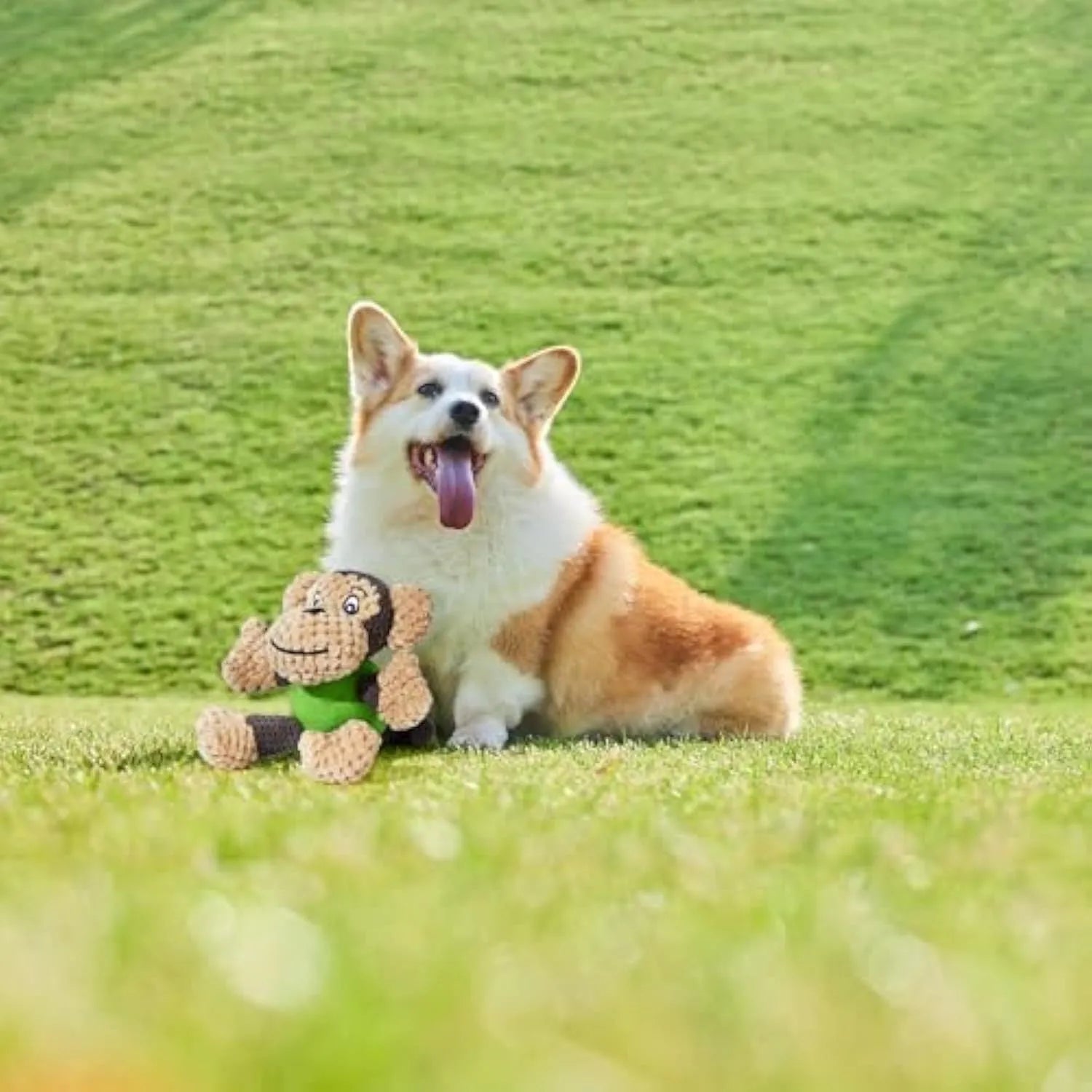 Cute squeaky monkey plush dog toy with soft fabric, designed for small and medium dogs