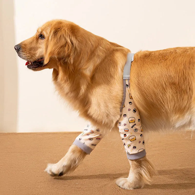 Blue dog knee protector wrap with thick elbow pad and matching scarf on a medium large dog