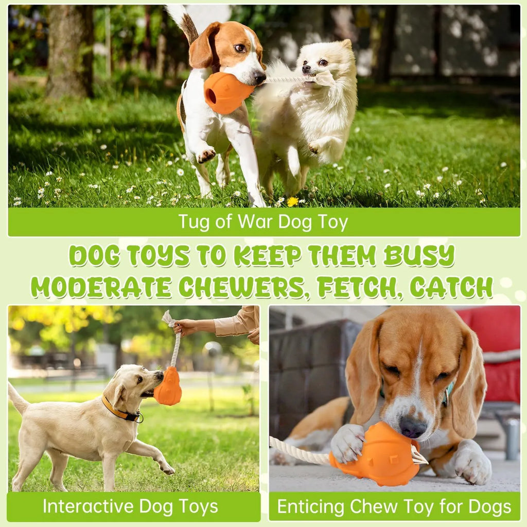 Natural rubber dog toy with treat-dispensing hollow centre and longer strap for fetch and tug