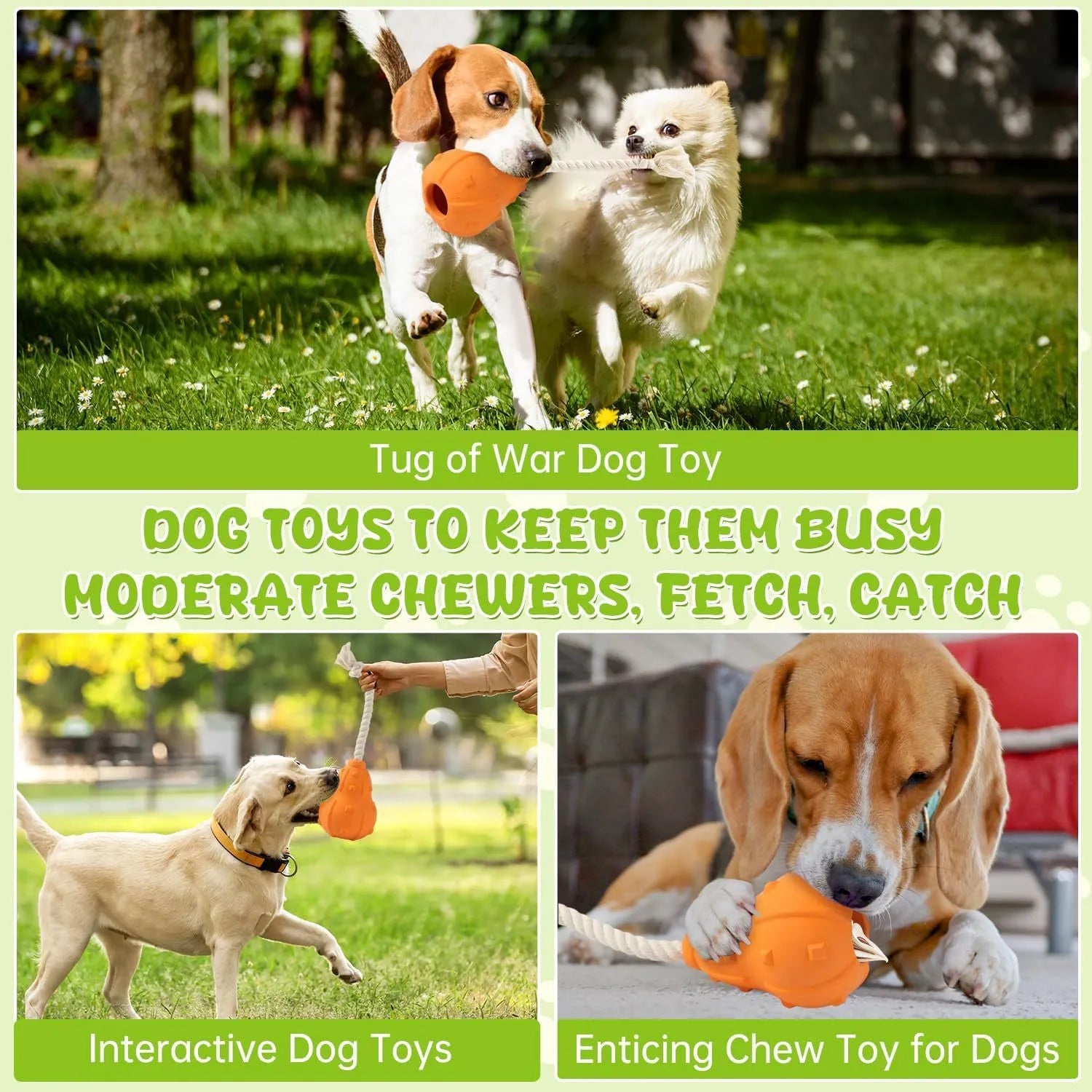 Natural rubber dog toy with treat-dispensing hollow centre and longer strap for fetch and tug