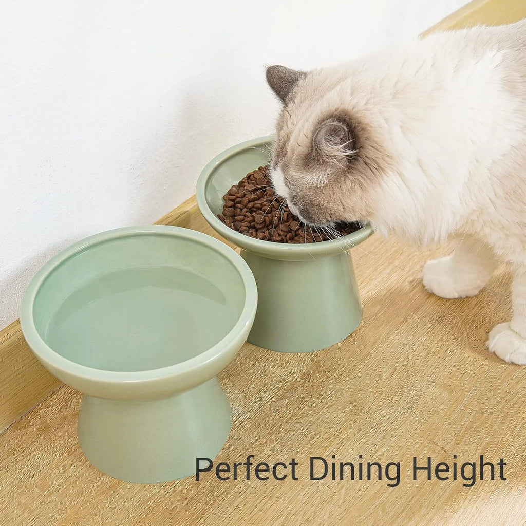 Ceramic elevated cat food bowl in blue, green, pink or white with wide shallow design