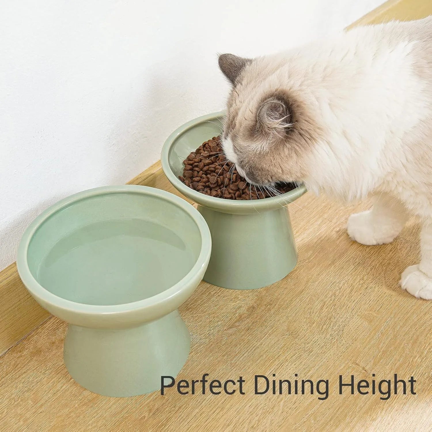 Ceramic elevated cat food bowl in blue, green, pink or white with wide shallow design
