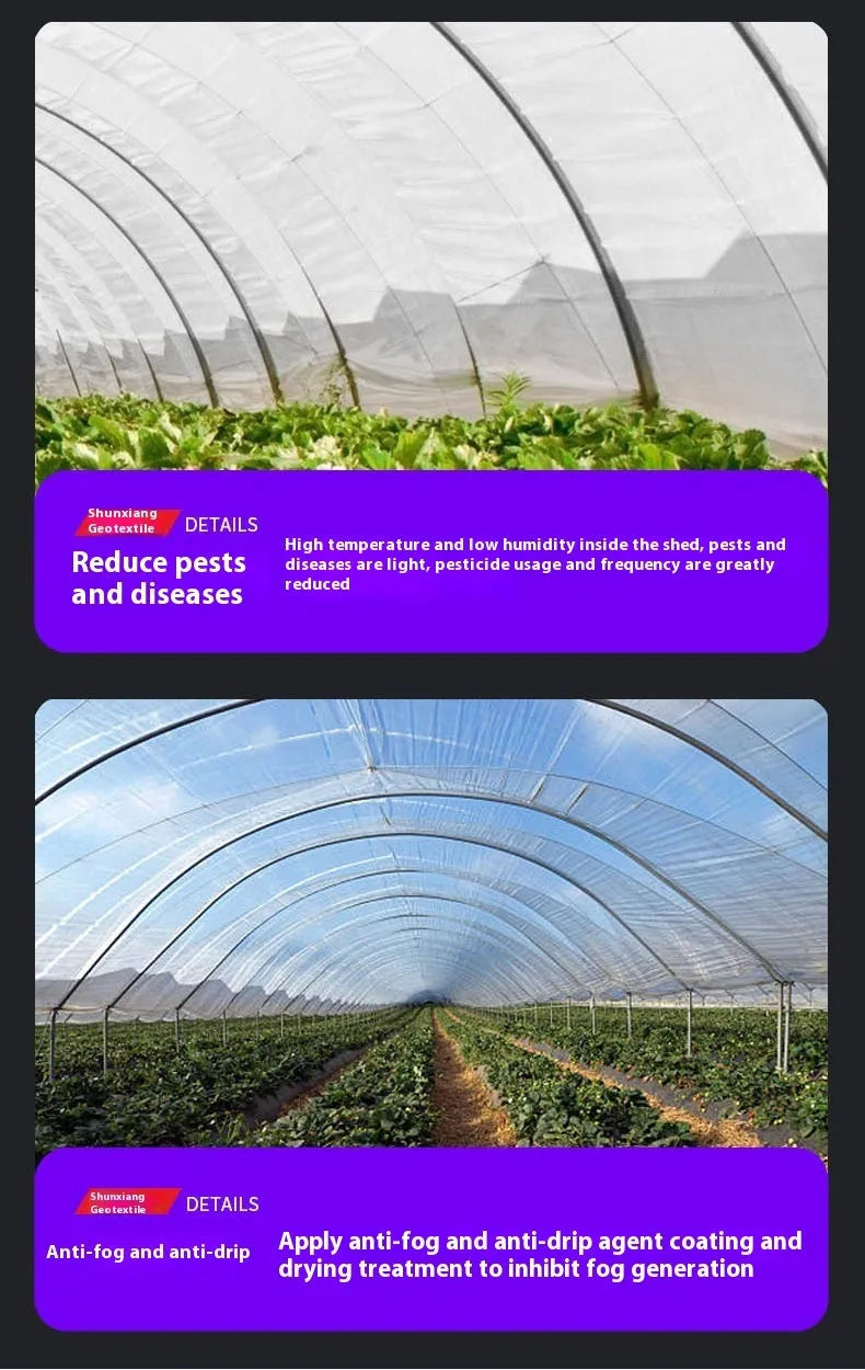 Plastic greenhouse cold film roll 4x8 metres for vegetable shed insulation