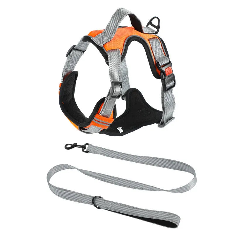 Adjustable polyester dog harness with chest strap and optional hand holding rope in multiple colour options