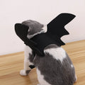 Black wings felt pet Halloween costume with bell on a small dog, available in sizes S M L