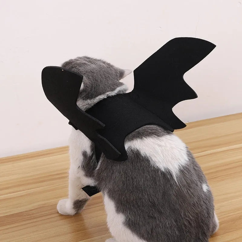 Black wings felt pet Halloween costume with bell on a small dog, available in sizes S M L