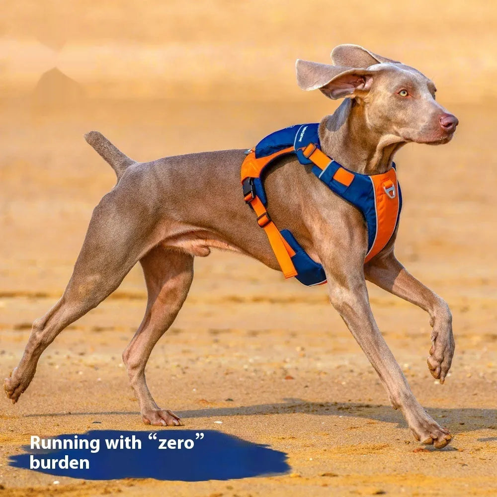 Orange blue nylon dog chest strap vest with hand rope leash shown on adjustable sizing