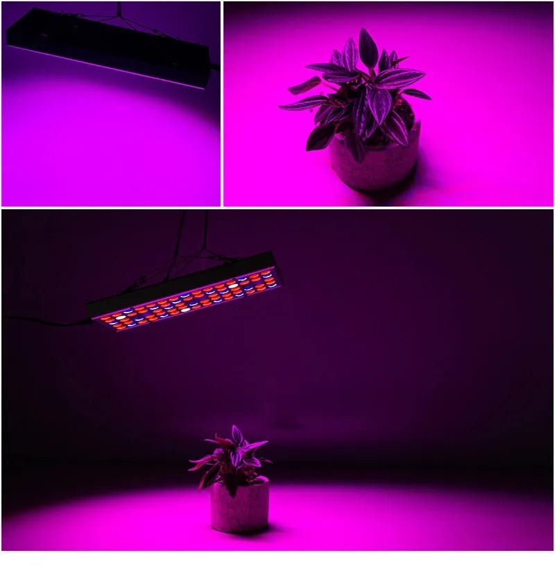 25W LED plant supplement light with 75 LEDs and steel hanging kit for greenhouse seedling use