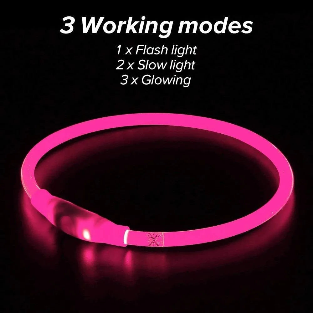 Blue USB rechargeable LED dog collar glowing with 360-degree visibility for nighttime pet safety