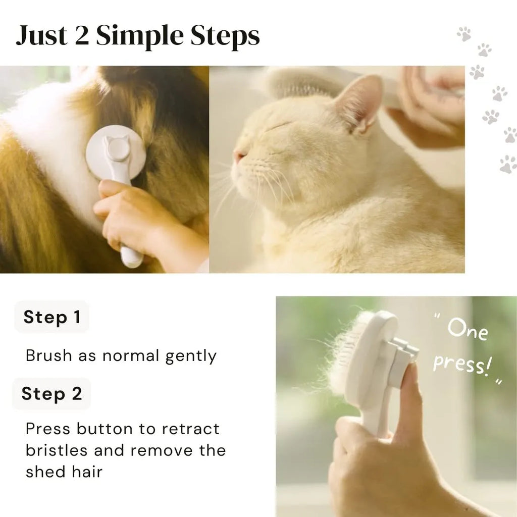 Self-cleaning slicker brush for dog and cat grooming with blue handle and stainless steel bristles.