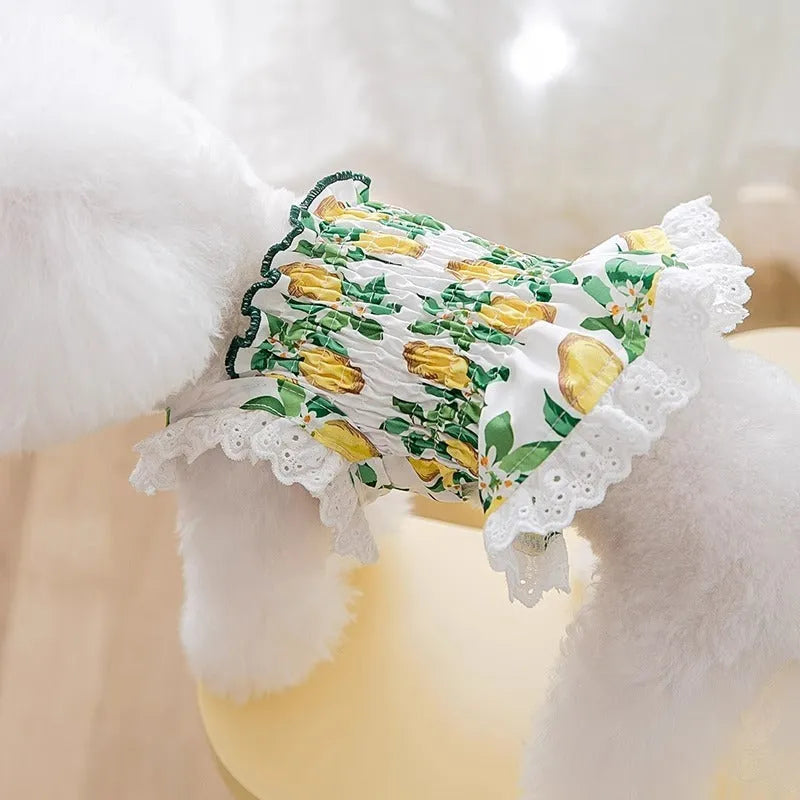 Rock Yellow Lemon thin breathable polyester dog strap skirt princess style for small pets