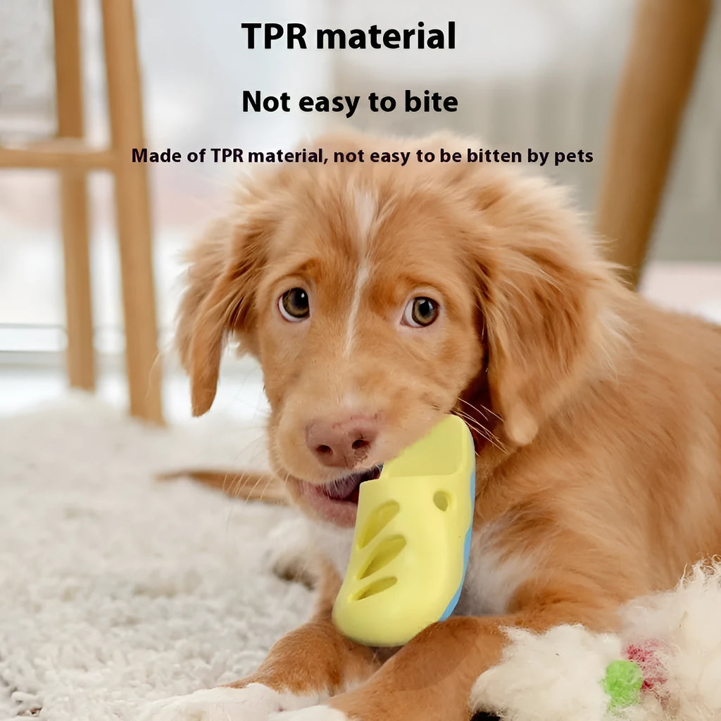 TPR pet bath massage brush for dogs in blue quincuncial head style, single brush