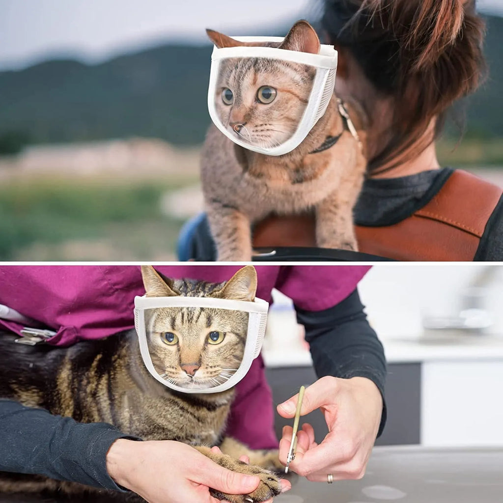 Clear PVC anti bite cat muzzle with cotton lining on cat