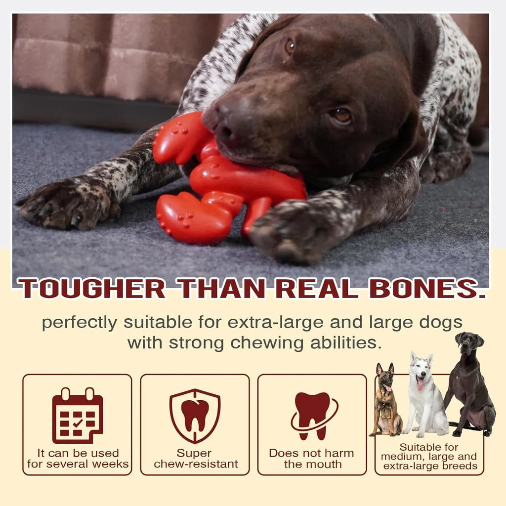 Red hard chew toy for large dogs measuring 170mm by 132mm for aggressive chewers