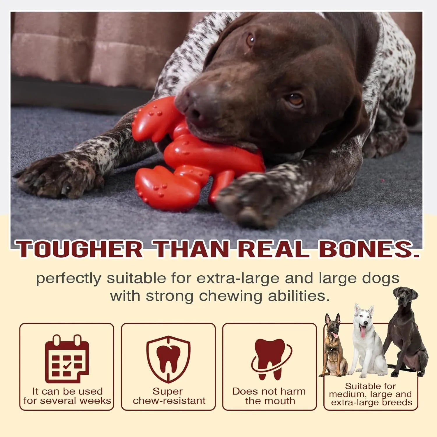 Red hard chew toy for large dogs measuring 170mm by 132mm for aggressive chewers