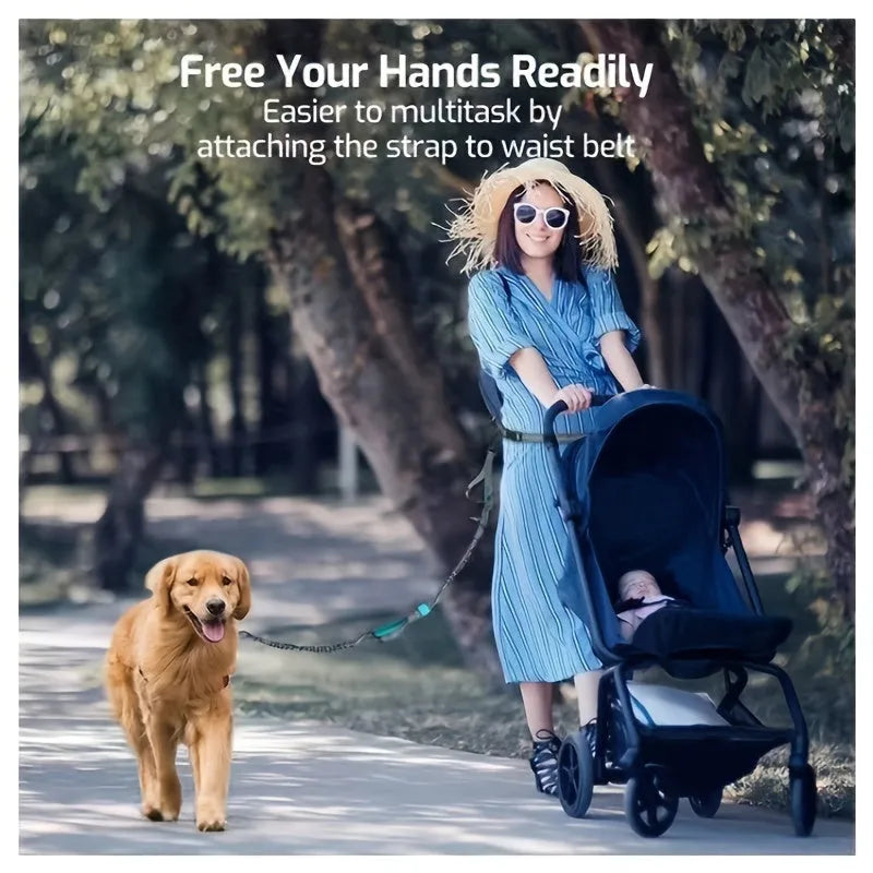 Hands-free dog leash made of durable nylon with adjustable waist belt, for running or walking with an active dog