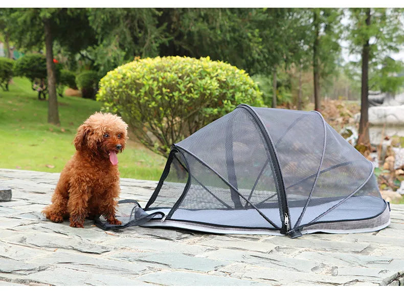 Foldable cat tent with half-mesh panels in black and blue colour options