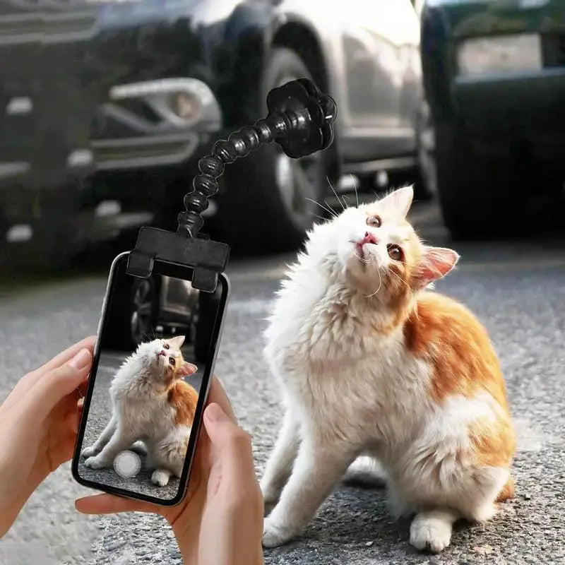 Pet photography tool with black plastic phone clip and snack holder for dog selfies