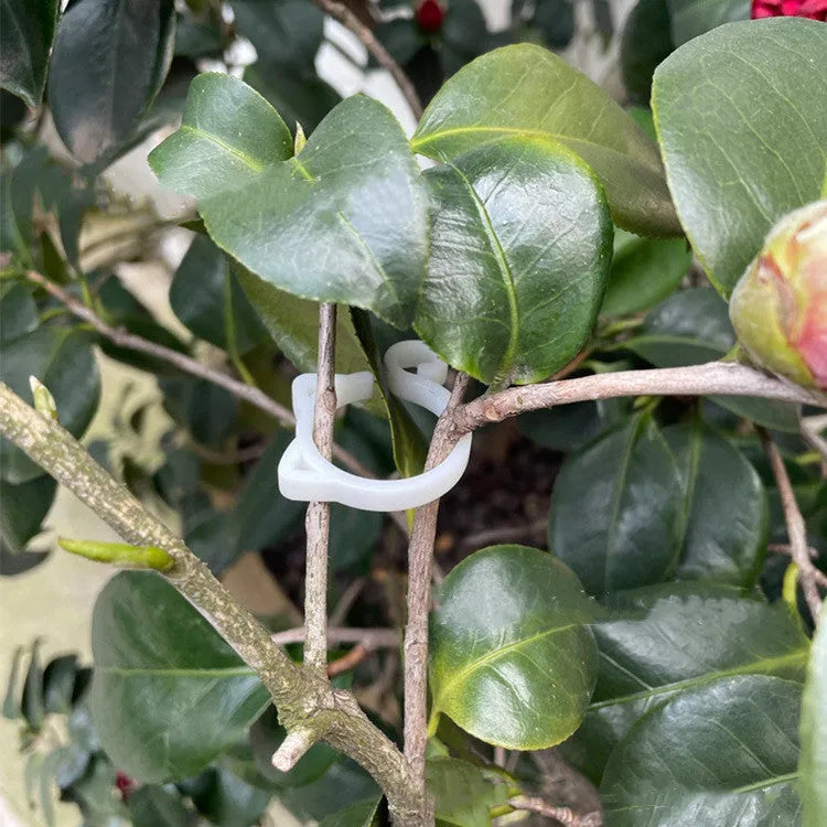 Cat-shaped plastic plant clip for gardening in red, yellow, green, and white colour options