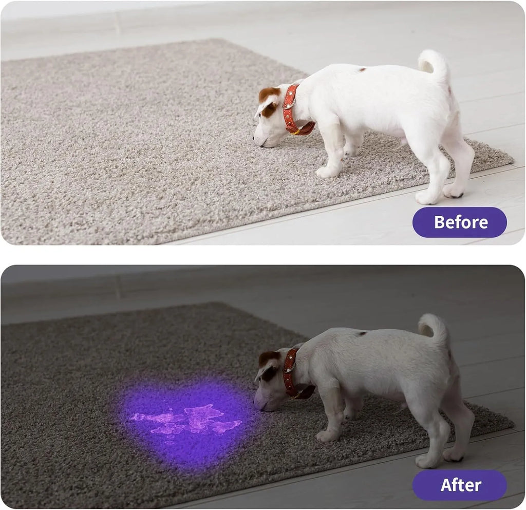 Black aluminium UV flashlight for detecting pet urine stains and insects