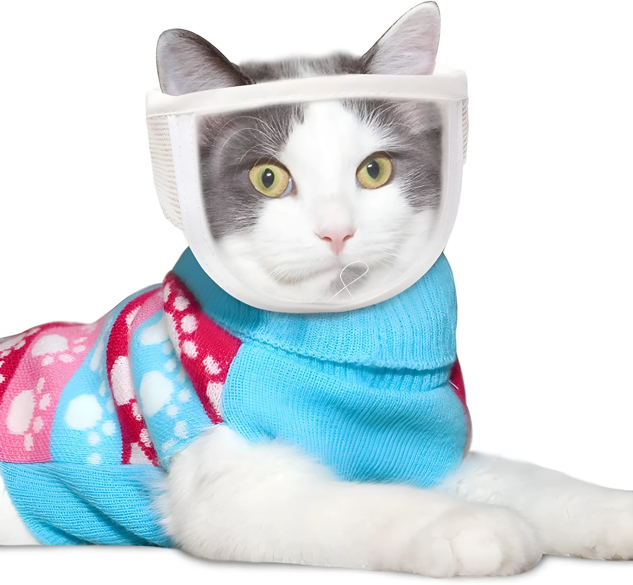 Clear PVC anti bite cat muzzle with cotton lining on cat