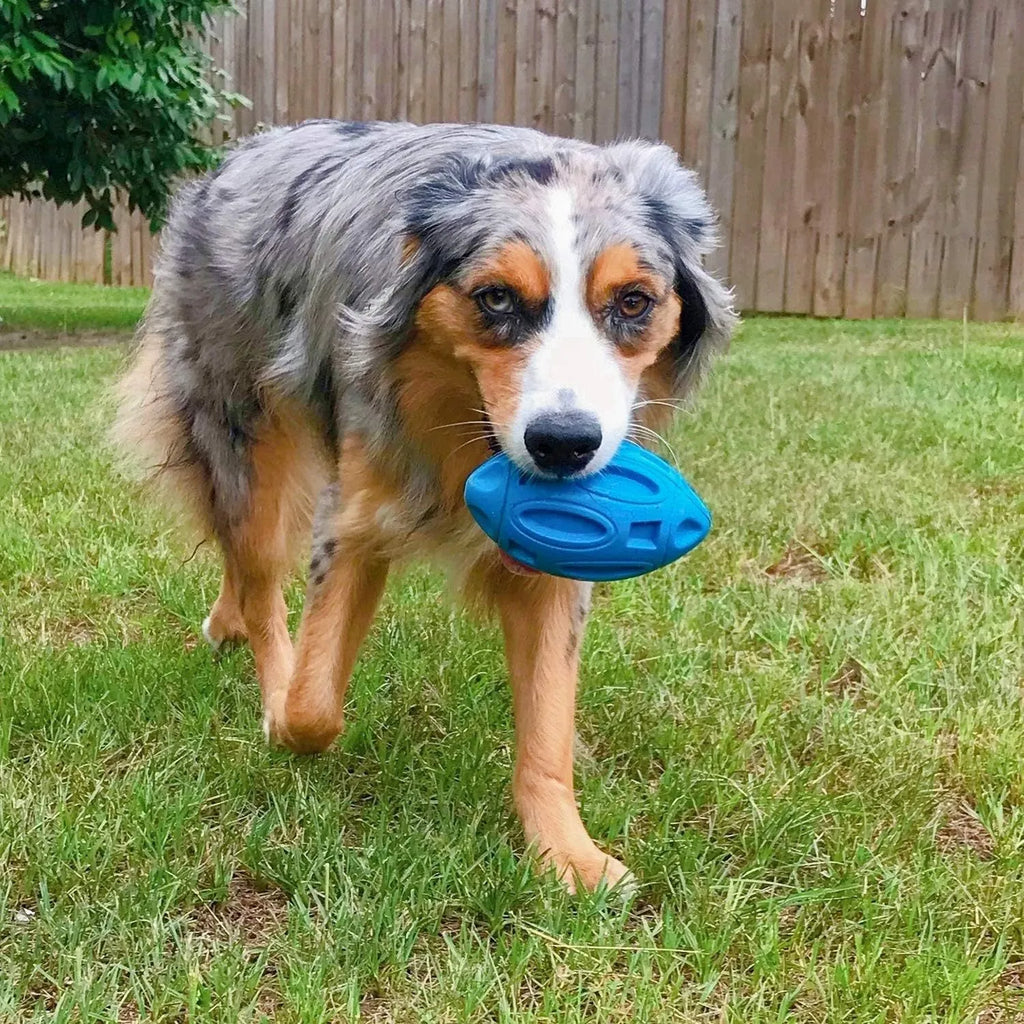 Blue, green, and orange rubber squeaky dog toy ball with grooved surface for aggressive chewers.