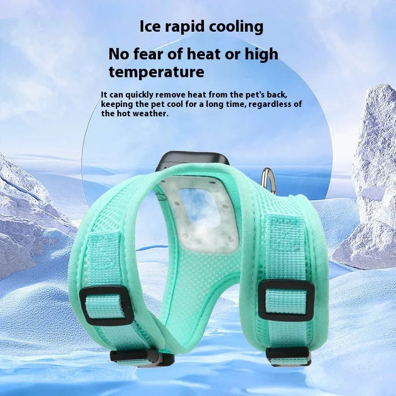 Mint green dog cooling vest harness with LED lights and leash for small breeds