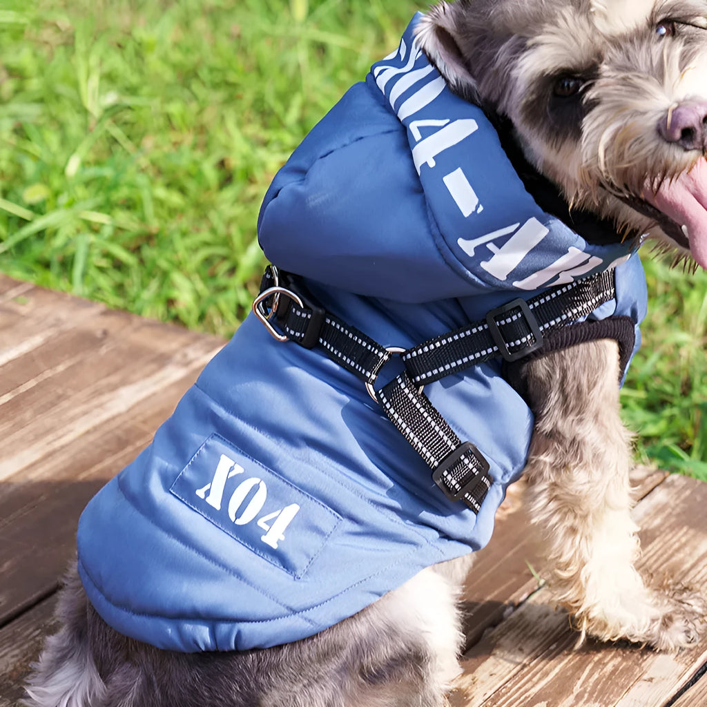 Red waterproof fleece-lined dog jacket with hood for winter wear on a small dog