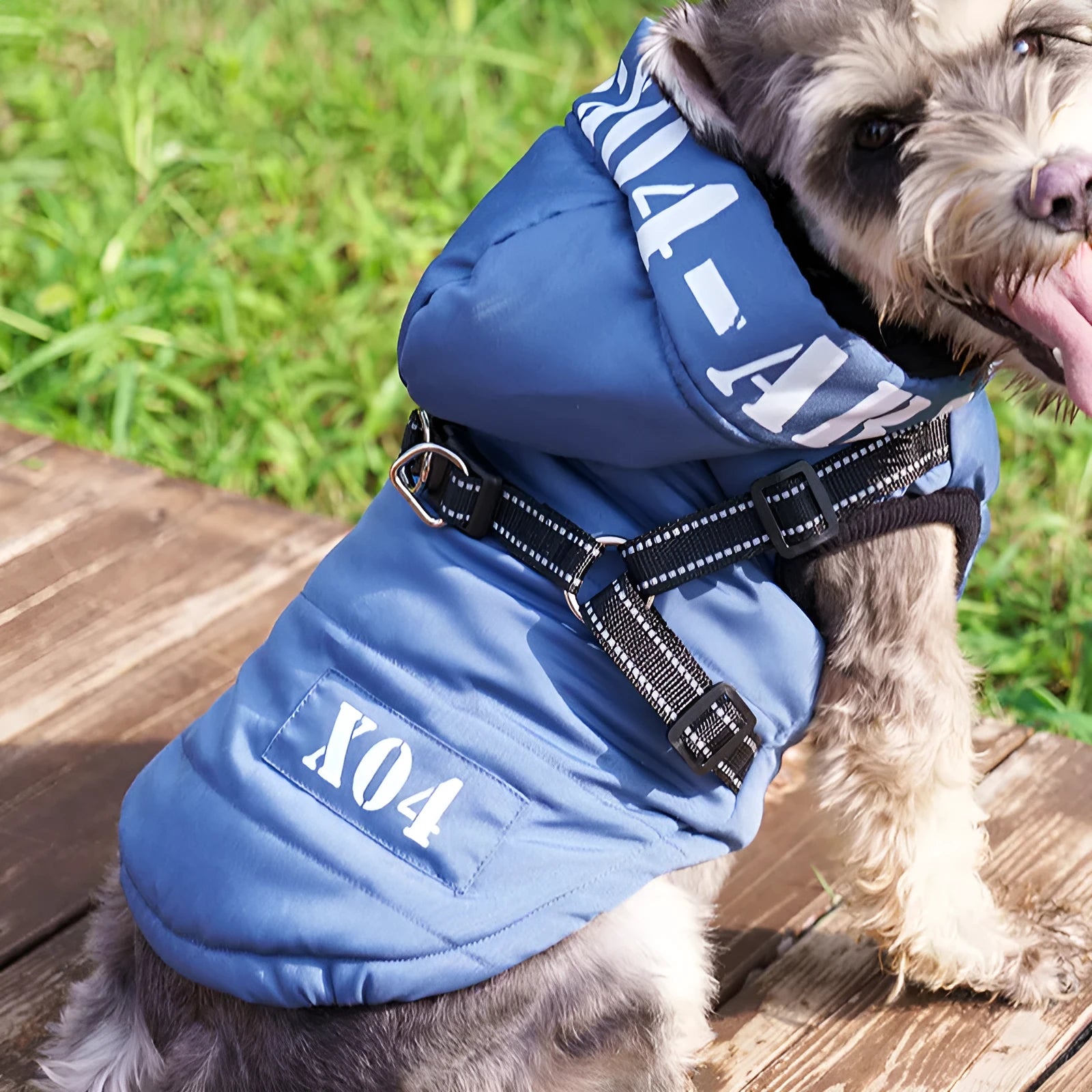 Red waterproof fleece-lined dog jacket with hood for winter wear on a small dog