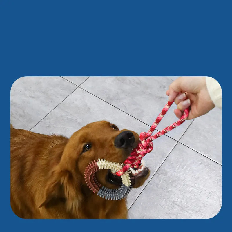 Blue bite resistant rope dog toy with interlocking knot design for teething puppies