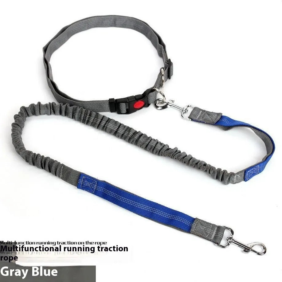 Reflective nylon dog leash with elastic section in multiple colour combinations, 2.5cm width