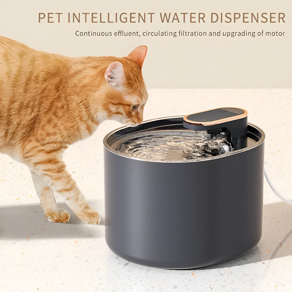 Automatic pet water fountain USB mute feeder for cats and dogs Berlin Blue edition with filter and pump