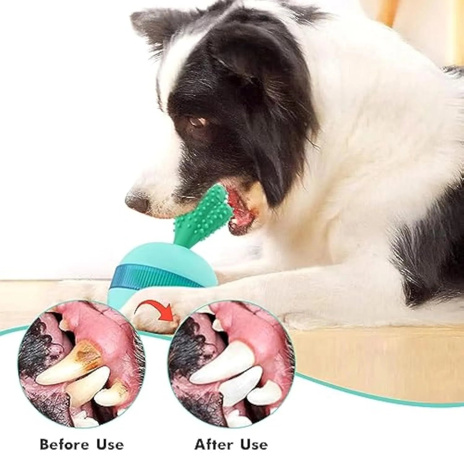 Blue interactive dog treat dispensing tumbler ball with small holes for medium large dogs