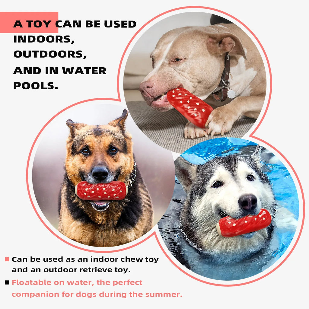 Primary colour plastic glue toothbrush-shaped dog chew toy with textured molar rod design