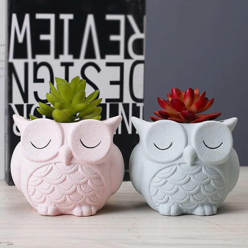 Handmade ceramic owl succulent pot in frosted finish with cartoon design